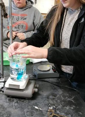 Biology students investigate cell membranes and enzyme activity