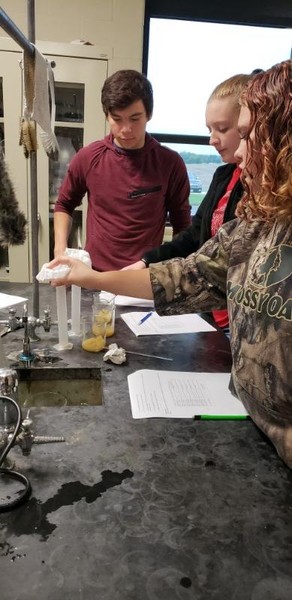 Biology students investigate enzyme activity by creating apple juice