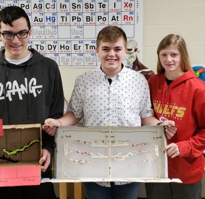 Anatomy Students Created Sliding Filament Models of Muscular Contraction