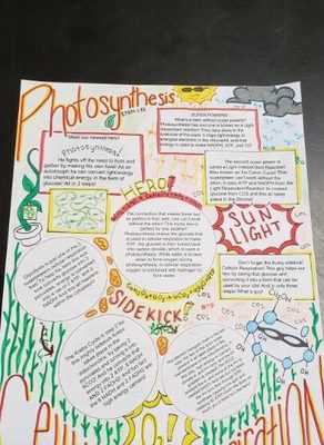 Biology Students Explain Photosynthesis & Cellular Respiration in Creative Ways