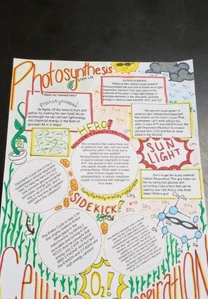 Biology Students Explain Photosynthesis Cellular Respiration In Creative Ways News Updates Keytesville R Iii School District Home Of The Tigers