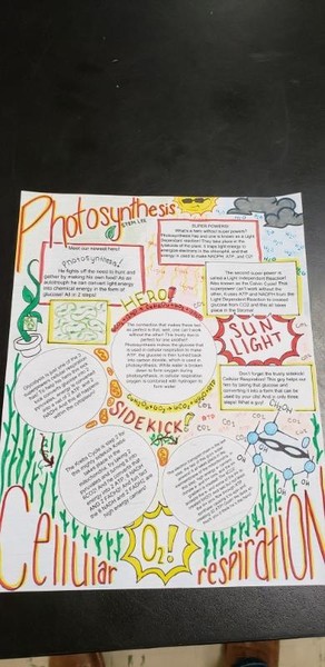 Biology Students Explain Photosynthesis & Cellular Respiration in Creative Ways