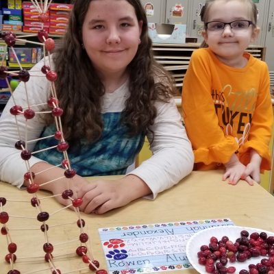 Preschool, 3rd Grade and 5th Grade STEM Activity