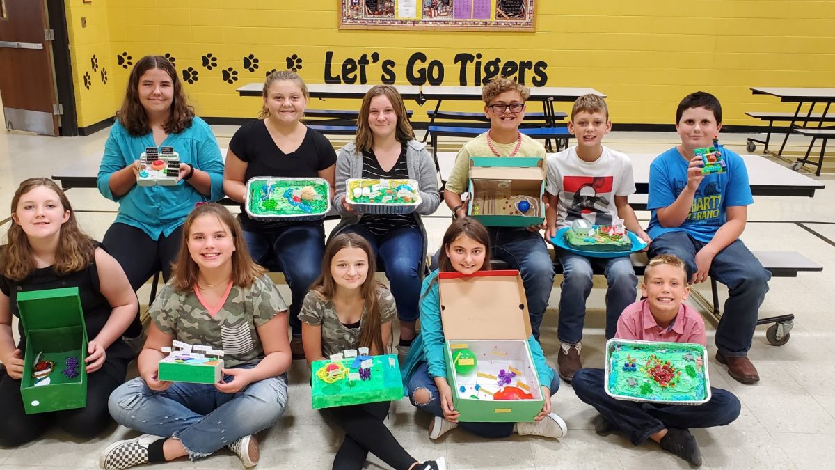 6th Grade Cell Projects | News & Updates | Keytesville R-III School  District | Home of the Tigers