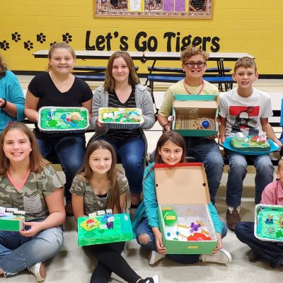 6th Grade Cell Projects