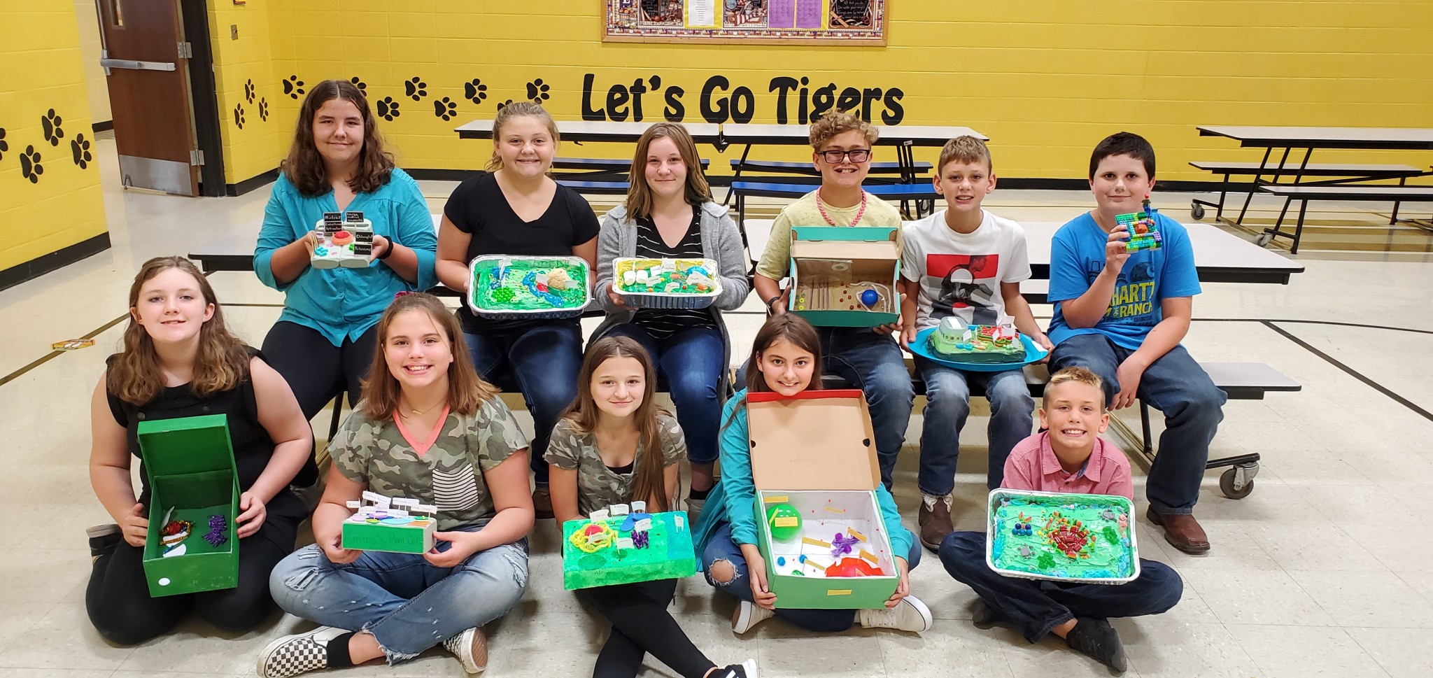 6th Grade Cell Projects