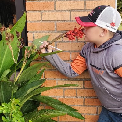 4th Grade Studies Plants